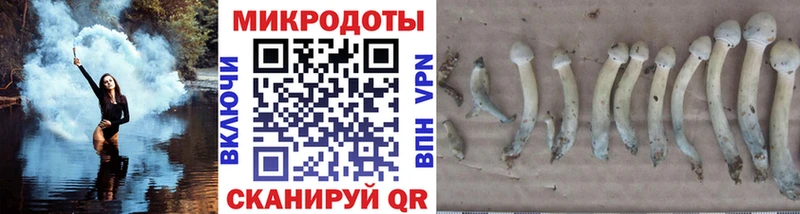Псилоцибиновые грибы Cubensis  blacksprut как войти  Макарьев 
